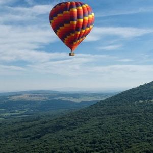 Meet your Posher, Savannah